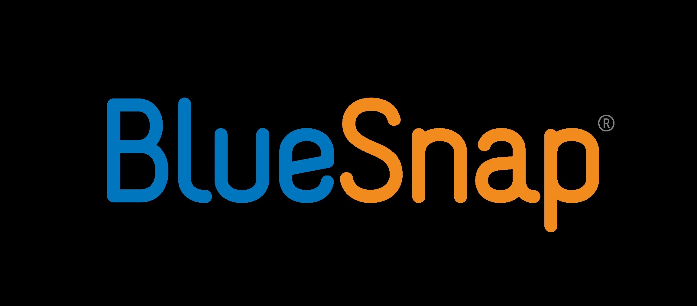 Bluesnap - Stripe Alternative