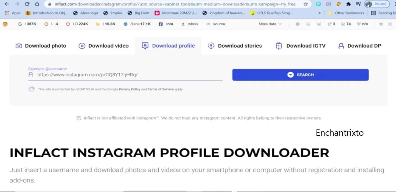 Instagram Reels Downloader