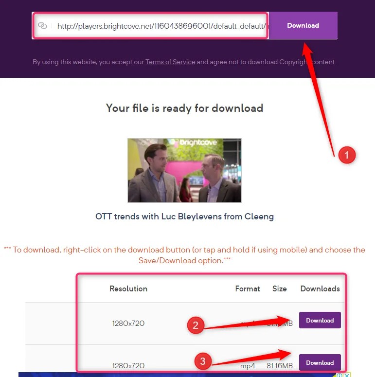 Bitdownloader - Brightcove Video Downloader