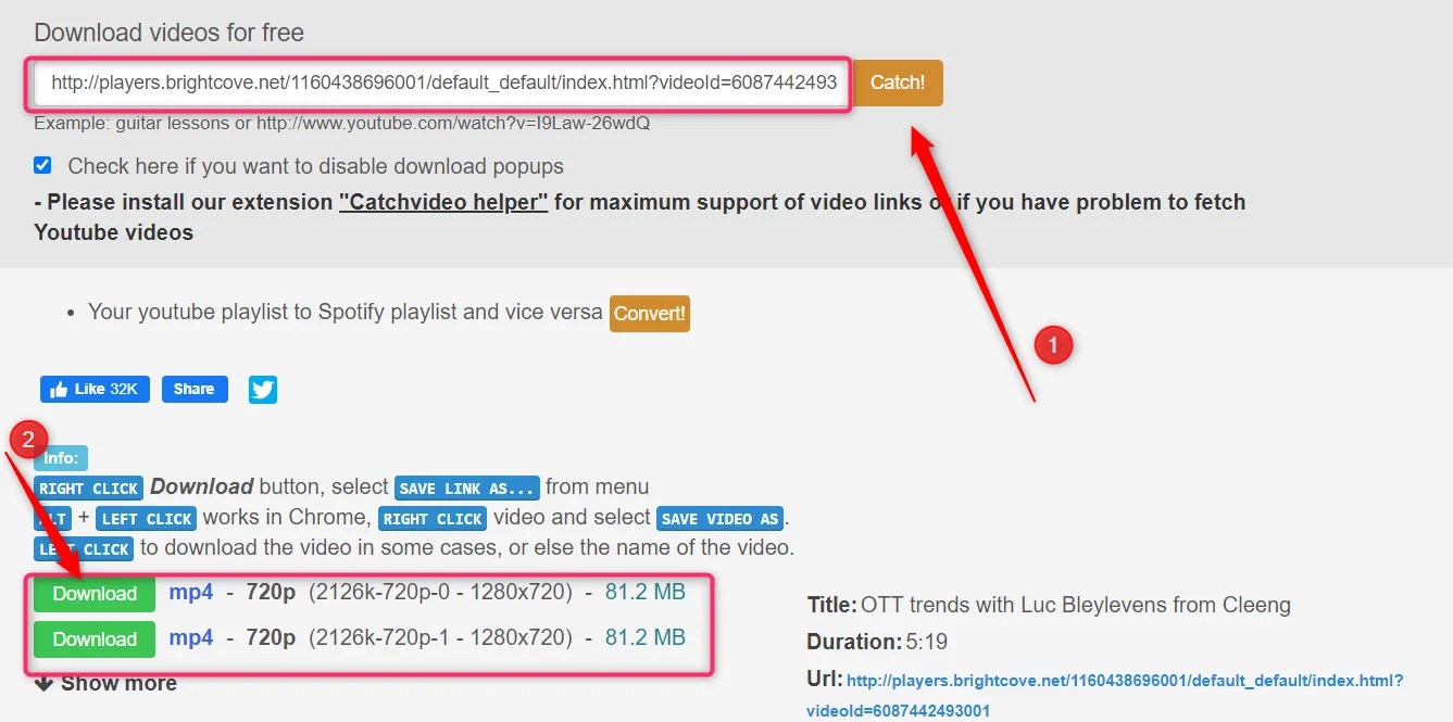 brightcove video downloader
