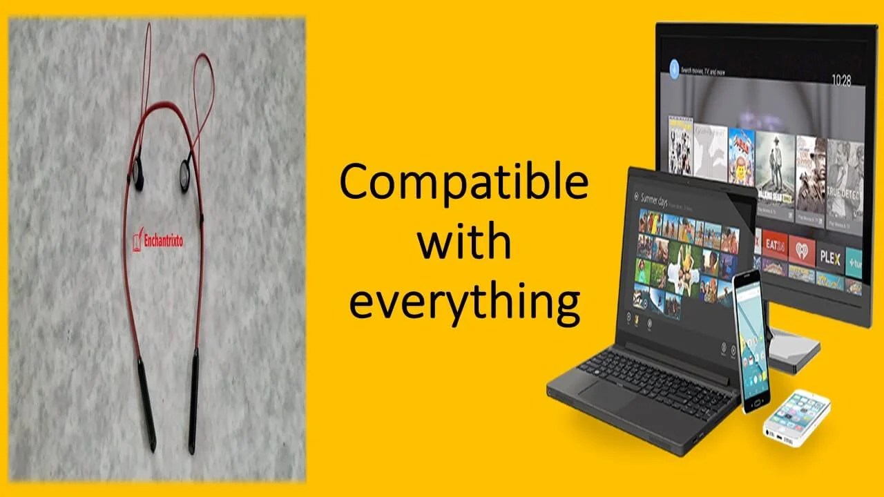 Boult Earphones Compatible