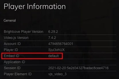 Brightcove Video Downloader tips