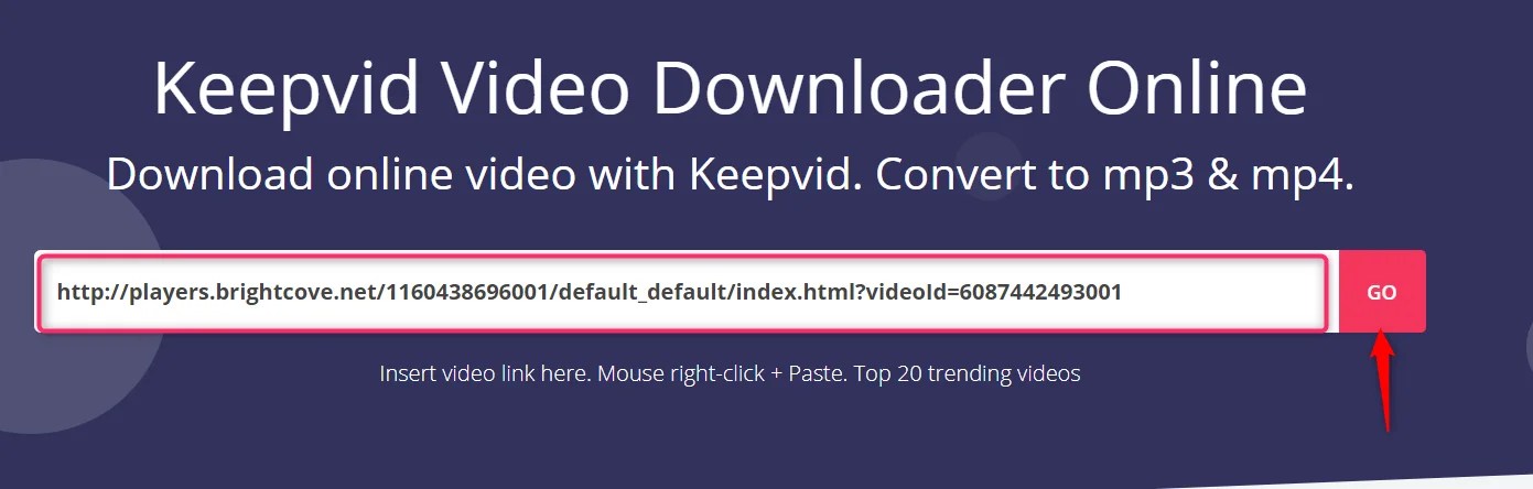 Keepvid video downloader